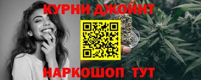гидра Нальчик