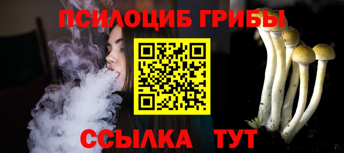 Галлюциногенные грибы Psilocybine cubensis Среднеуральск